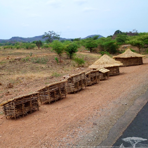 Chicken Huts by the road, Zambia