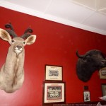 Wall Adornments at the Bedford Club, South Africa