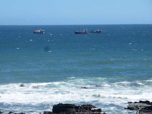 Boats fising for Calamari in Seaview